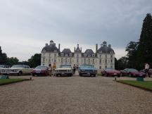 reportage cruising 2014z